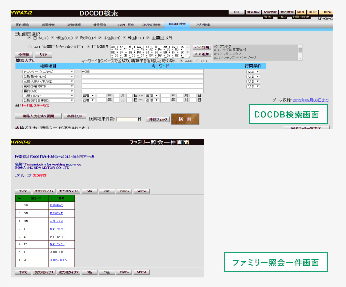 DOCDB検索画面 ファミリー照会一件画面