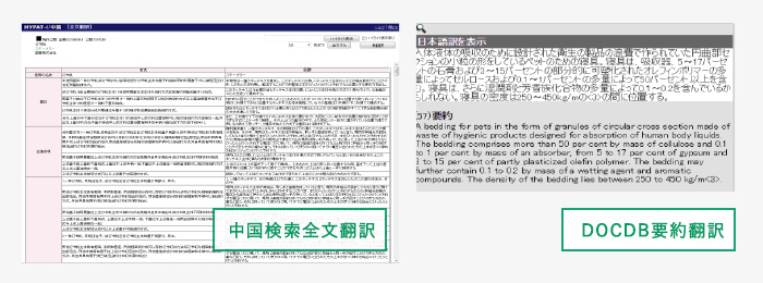 中国検索全文翻訳 DOCDB要約翻訳