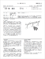 国内サマリー/準サマリー